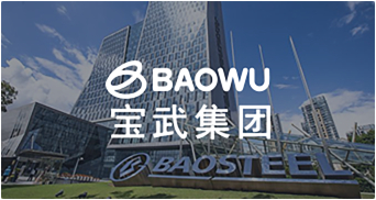 Baowu Carbon Industry Group